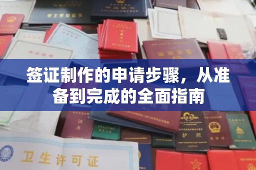 东海签证制作的申请步骤，从准备到完成的全面指南